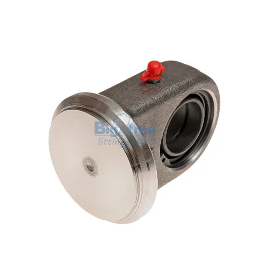 Hydraulic cylinder end cap with bearing